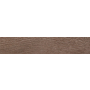 ABS hrana Synchron Anniversary Oak 03 23x1mm,NEW-2022